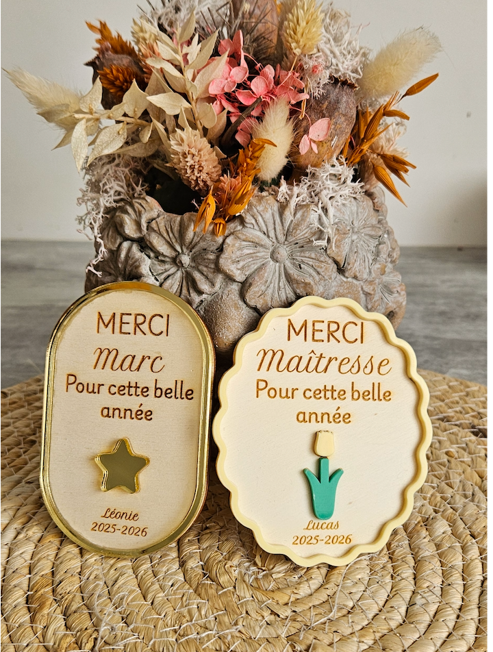 Magnet Merci